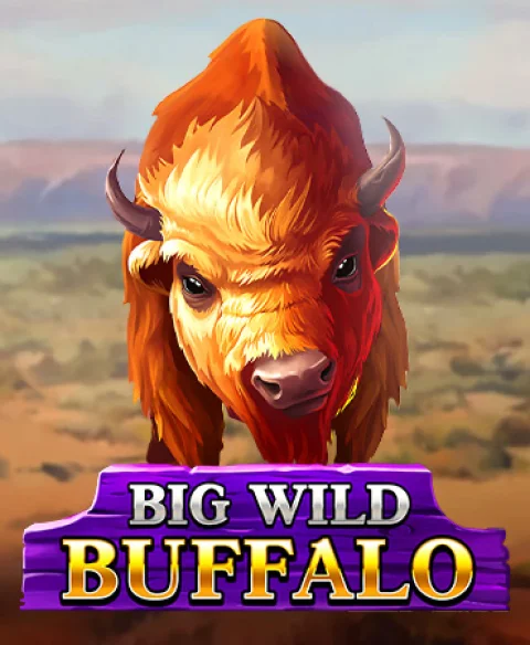 Play Big Wild Buffalo at Bonus Spins Hub Casino